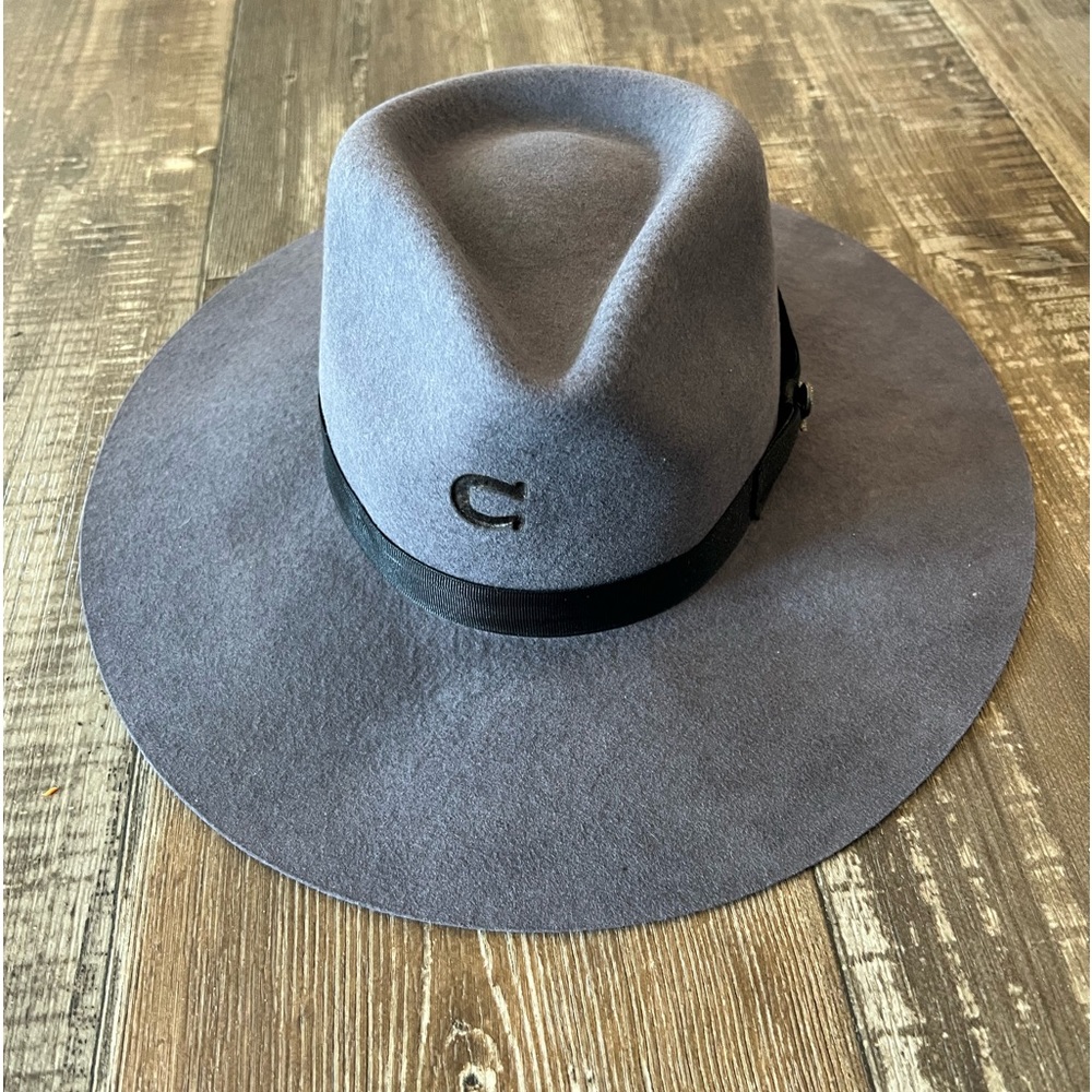 Charlie 1 horse. Size small. I’m used but good condition.
